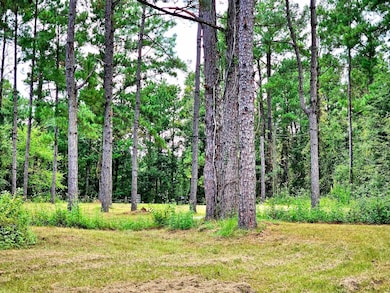 238 Winding Creek Ln, Quincy, FL 32351 - photo 6