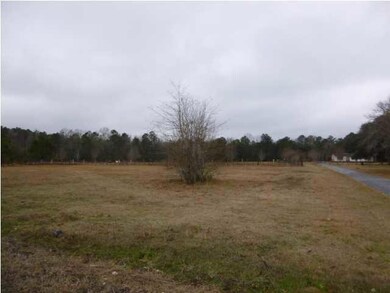 2025 S Live Oak Dr, Moncks Corner, SC 29461 - photo 4