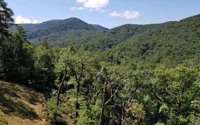 Additional View