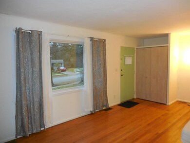 1181 Pomona Rd, Ann Arbor, MI 48103 - photo 4