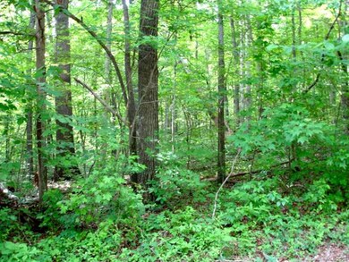 4 River Run Rd, Statesville, NC 28625 - photo 3