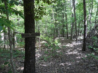 0000 Little Mountain Rd unit 20 & 21, Alexis, NC 28006 - photo 4