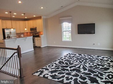 24688 Hutchinson Farm Dr, Sterling, VA 20166 - photo 6