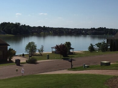 603 Thrasher Pointe, Oxford, MS 38655 - photo 3