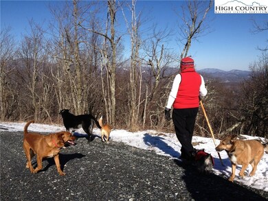 Perfect Walks Year Round!!!