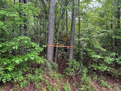 2048 Ashley Rd, Hazlehurst, MS 39083 - photo 5