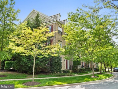 764 Raven Ave, Gaithersburg, MD 20877 - photo 5