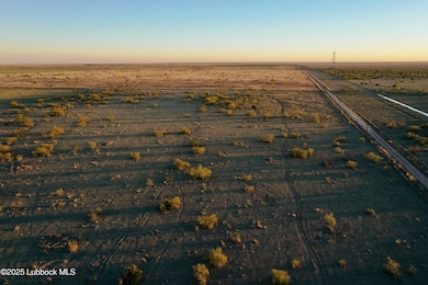 DJI_0510 copy