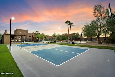 Regulation Pickleball Court with Lights