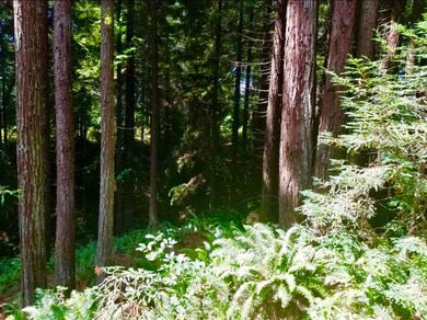 image2 (7)