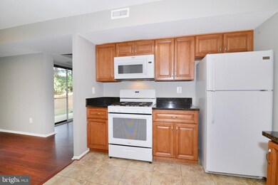 2069 Royal Fern Ct unit 1B, Reston, VA 20191 - photo 2