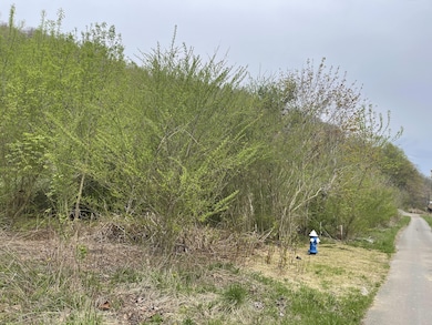 16 Logan Rd, Page, WV 25119 - photo 3