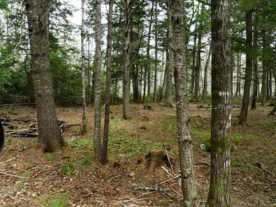 Land/Lot.