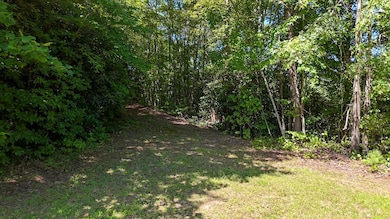 2201 Andrews Rd, Murphy, NC 28906 - photo 3