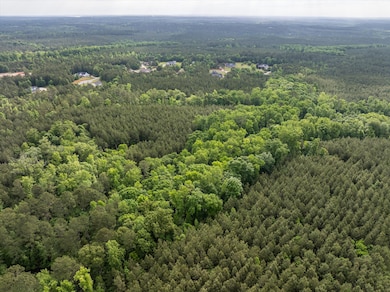 5760 Cobbham Rd, Appling, GA 30802 - photo 7