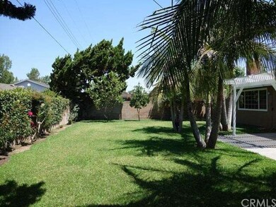 Back Yard View