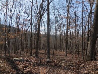 12475 Devils Den Rd, Winslow, AR 72959 - photo 4