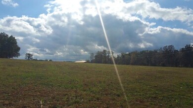 9.17 AC Ben Mason Rd, Cookeville, TN 38506 - photo 3