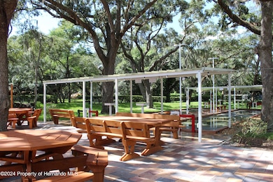 0 Echo Mountain Dr unit 2240557, Hudson, FL 34667 - photo 6