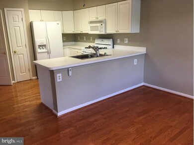 403 Plumbridge Ct unit 301, Lutherville Timonium, MD 21093 - photo 6