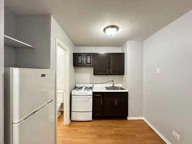 4543 N Dover St unit 2F, Chicago, IL 60640 - photo 3