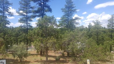 20160720_115951 (2)