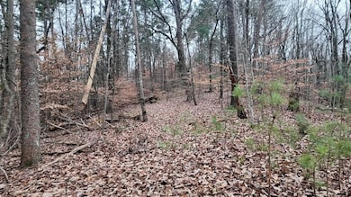 7943 Harper Rd, Hixson, TN 37343 - photo 5