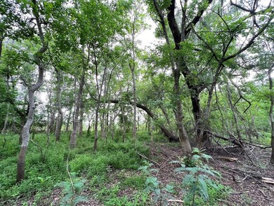 0 County Road 849 Tract 12, Brazoria, TX 77422 - photo 4