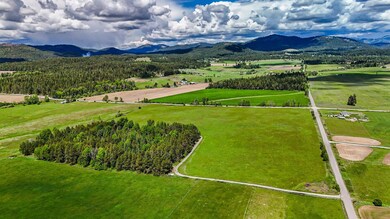 62XX W Oregon Rd, Deer Park, WA 99006 - photo 4