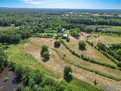 275 Beard Rd, Hartselle, AL 35640 - photo 7