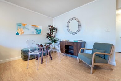 260 Church St unit 3E3, White Plains, NY 10603 - photo 6