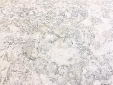 Elegant Quartz countertops in the kitchen and butl