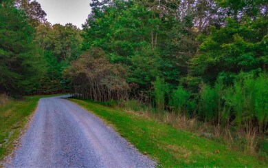 LT 16 Logan Dr, Mineral Bluff, GA 30559 - photo 3