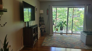 57 Saint Paul St unit 1, Brookline, MA 02446 - photo 2