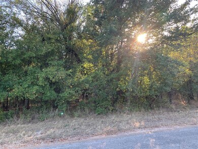 39183 Misty Ridge Dr, Whitney, TX 76692 - photo 3