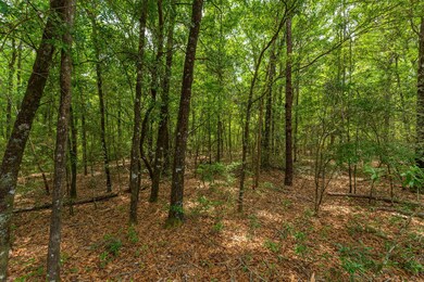 5.31 ac xx John Nix Rd, Crestview, FL 32539 - photo 7