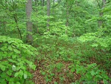 View Of Timber 2