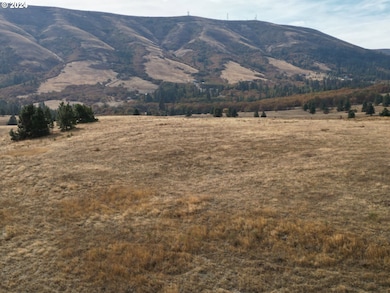 49 Restful Haven Dr, Lyle, WA 98635 - photo 4