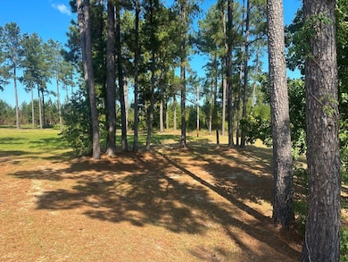 1000 Millen Hiltonia Rd, Hiltonia, GA 30467 - photo 5