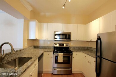 4550 Strutfield Ln unit 2427, Alexandria, VA 22311 - photo 6