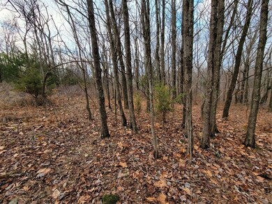 0 Reba Ln unit 1237428, Bella Vista, AR 72715 - photo 3