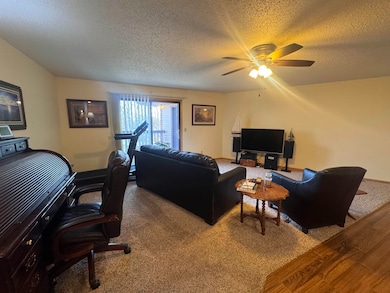 2505 Capitol St, Yankton, SD 57078 - photo 6