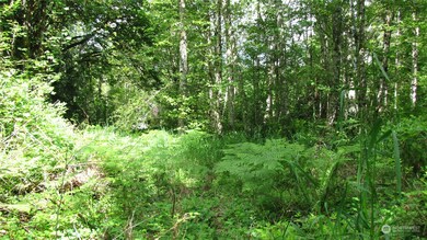 3344 Anderson Hill Rd SW, Port Orchard, WA 98367 - photo 4