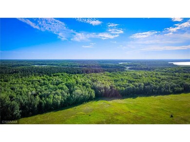 DJI_0783.00_03_57_28.Still005-2.jpg