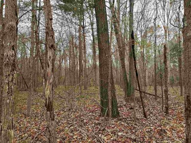 4713 Old Graham Rd, Pittsboro, NC 27312 - photo 4