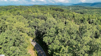 500 Chinquapin Rd, Travelers Rest, SC 29690 - photo 6