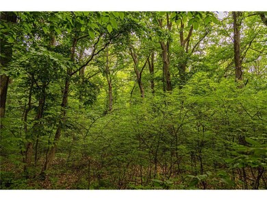 Block 1, Lot 5 Mid-River Estates Estates, Pine City, MN 55063 - photo 6