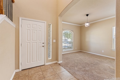 10618 Cosmos Canyon, Helotes, TX 78023 - photo 4