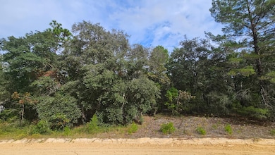 0 Michael Ave unit 25580690, Interlachen, FL 32148 - photo 5