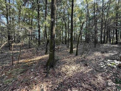 View of wooded area